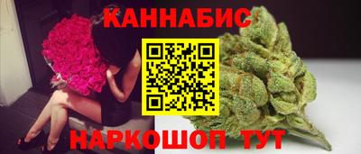 a pvp Брянск