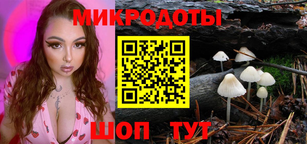 Псилоцибиновые грибы ЛСД  Вход с VPN  продажа наркотиков  Псилоцибиновые грибы ЛСД  Ахтубинск 